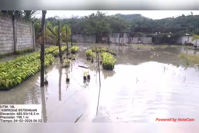 Vraem: Intensas lluvias inundan viviendas y cultivos en Unión Progreso