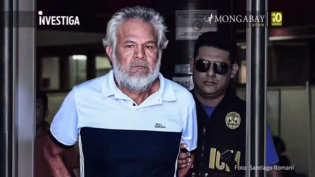 Caso Saweto: capturan a uno de los sentenciados por los crímenes de líderes indígenas en Perú