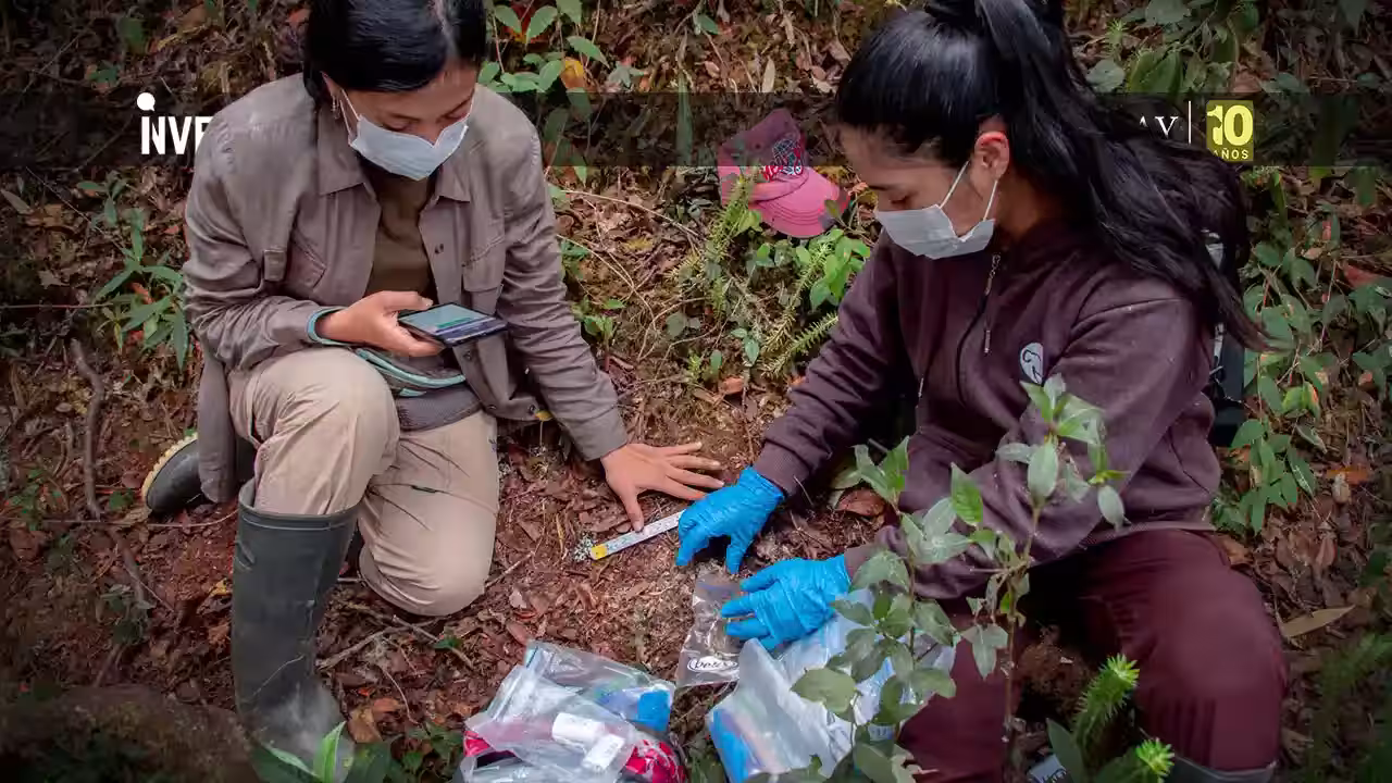 Día Mundial del Medioambiente: Perú concentra los corredores climáticos más importantes de la Amazonía occidental