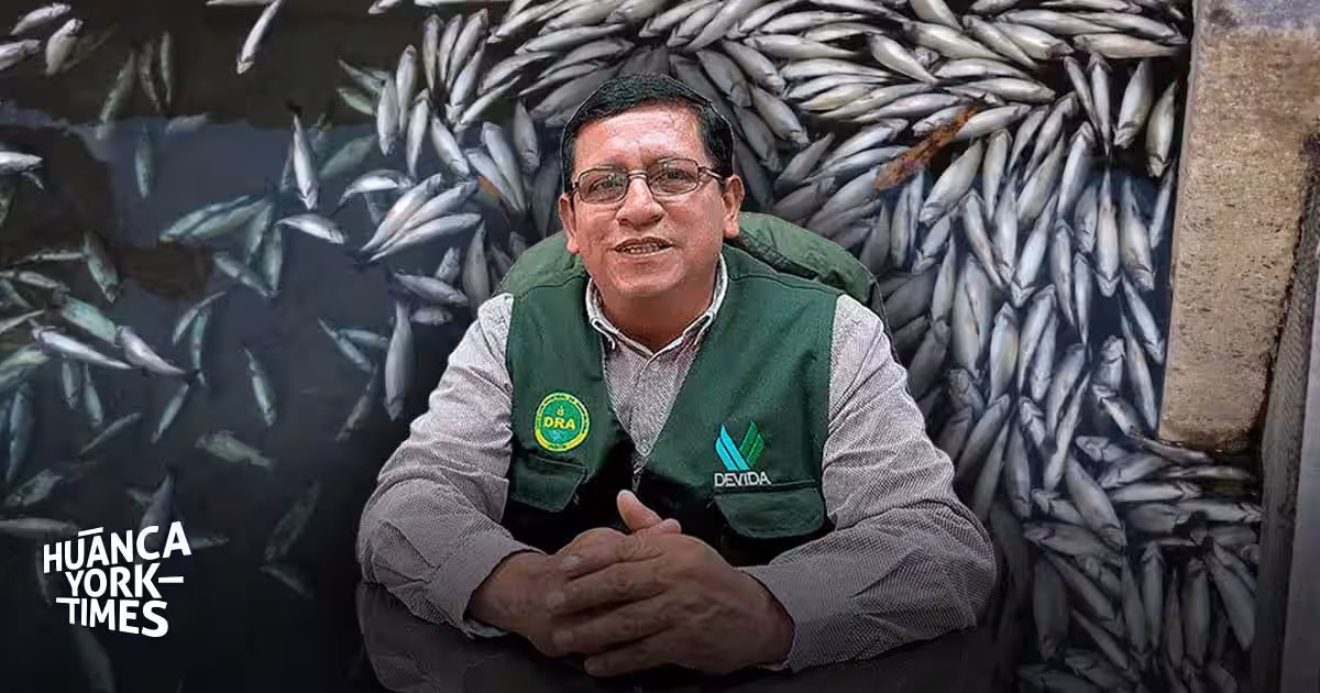 Pariahuanca: análisis no detectan contaminación en zonas agrícolas tras mortandad masiva de truchas