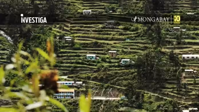 Los Andenes de Cuyocuyo: tecnología ancestral para conservar la biodiversidad en el altiplano peruano