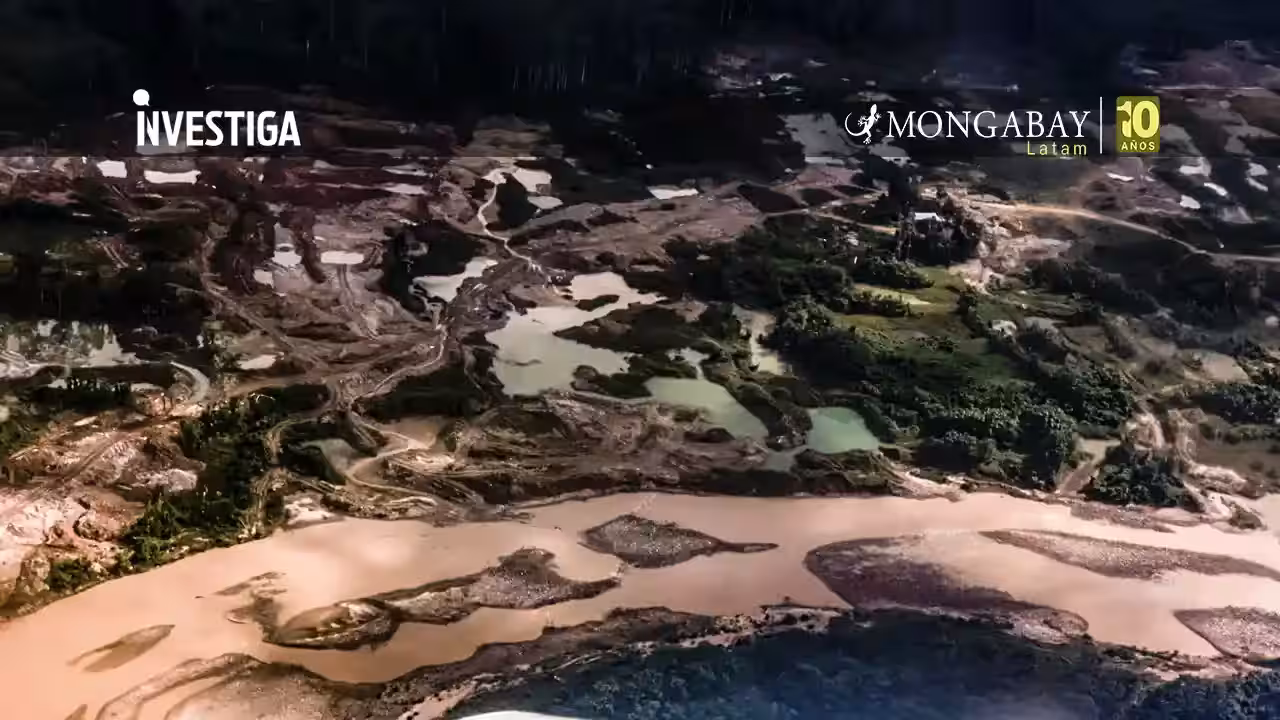 Sobrevuelos en la Amazonía muestran dragas de minería ilegal, laboratorios de droga y deforestación masiva
