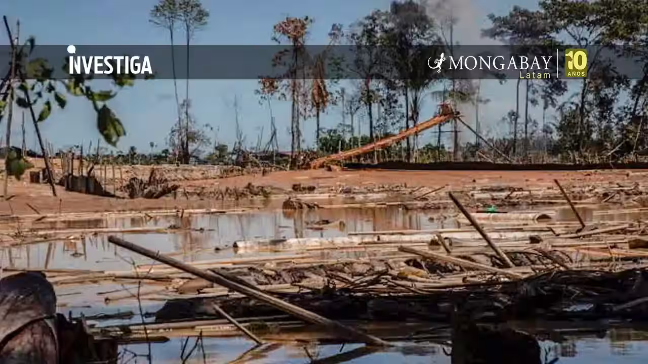 Aumentan pedidos de concesiones mineras en la selva peruana de Madre de Dios