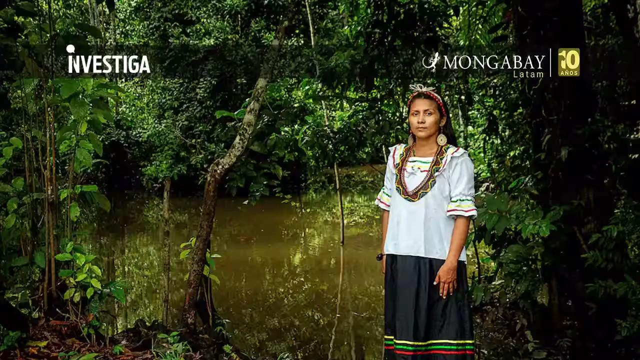 Avita Taricuarima: la bióloga kukama de la Amazonía peruana que devuelve el conocimiento científico a su comunidad