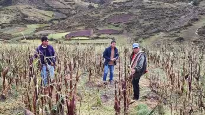 Fenómeno El Niño en Cusco: Gobiernos locales ejecutaron solo el 33% de su presupuesto anual en prevención de desastres