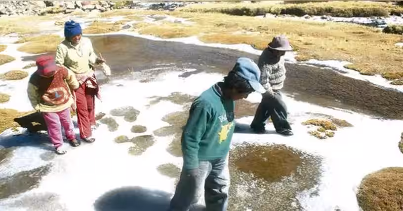 Seis niños y 102 adultos mayores murieron por neumonía en Cusco de enero a julio