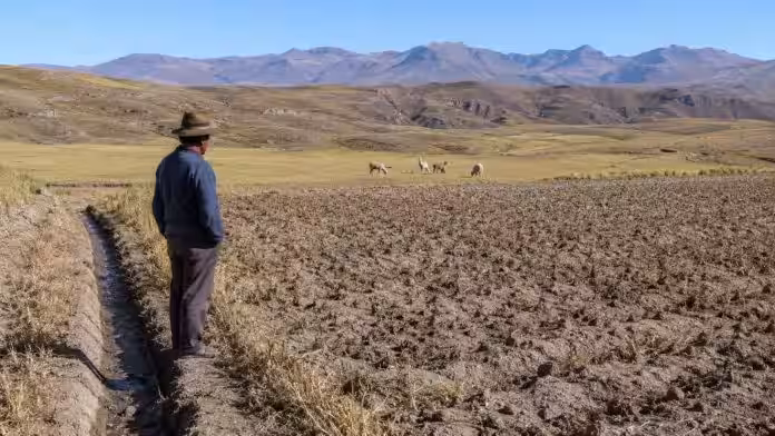 95 distritos de Cusco presentan un riesgo alto o muy alto frente a sequías asociadas al Fenómeno El Niño