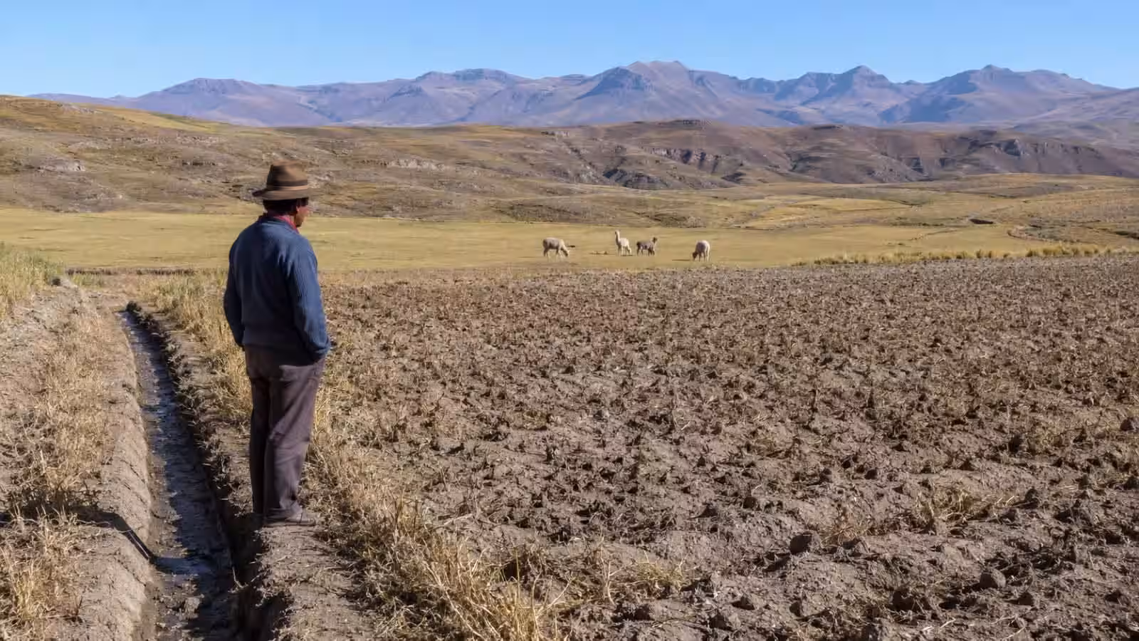 95 distritos de Cusco presentan un riesgo alto o muy alto frente a sequías asociadas al Fenómeno El Niño