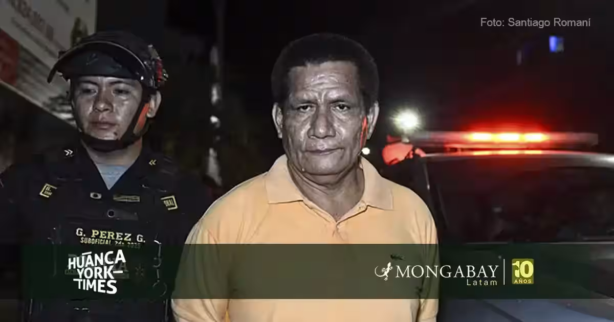 Capturan al segundo empresario sentenciado por el asesinato de defensores ambientales del caso Saweto