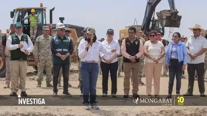 Pedido de facultades legislativas de presidenta Fujimori enciende alertas en sector ambiental de Perú