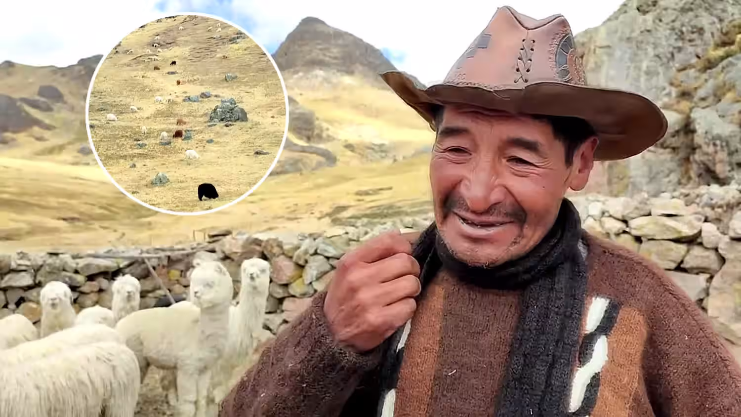 Productores de alpacas alertan escasez de agua y riesgo para bofedales en Carabaya