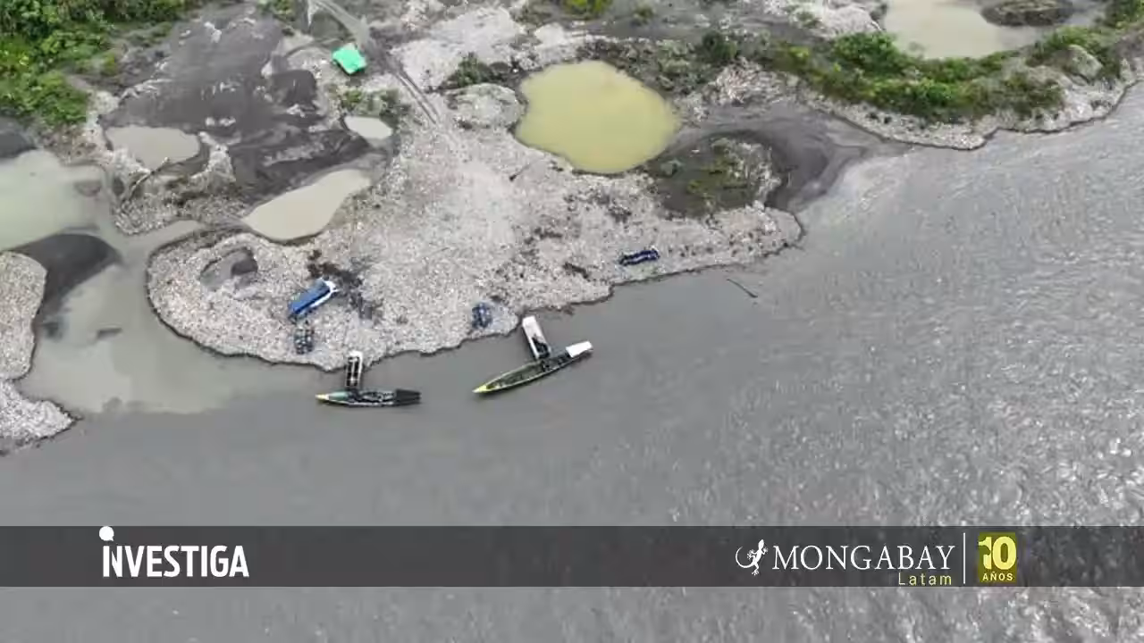 Parque Nacional Bahuaja Sonene: zona de amortiguamiento bajo el asedio de la minería ilegal