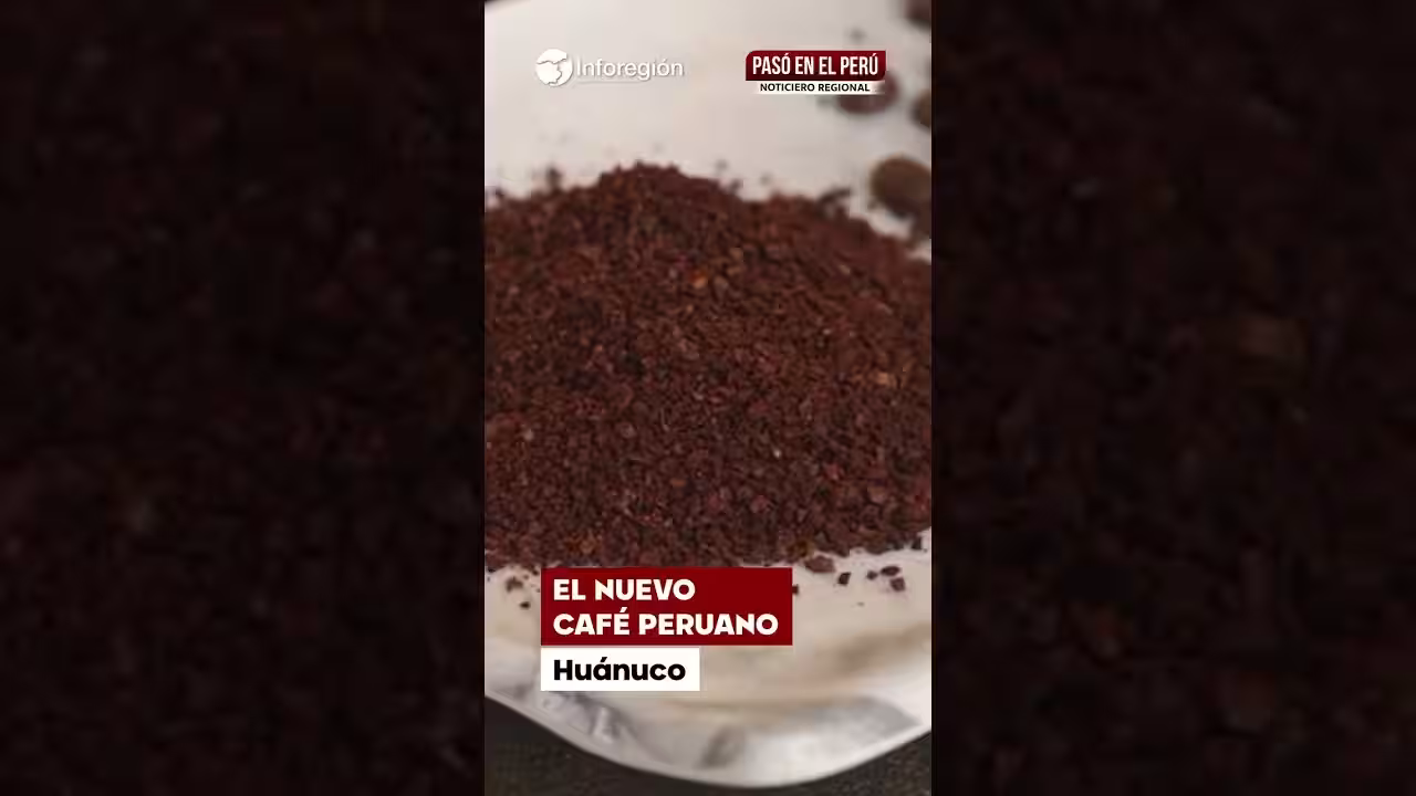 Huánuco: La nueva esencia de café peruano se llama Chupeco (VIDEO)