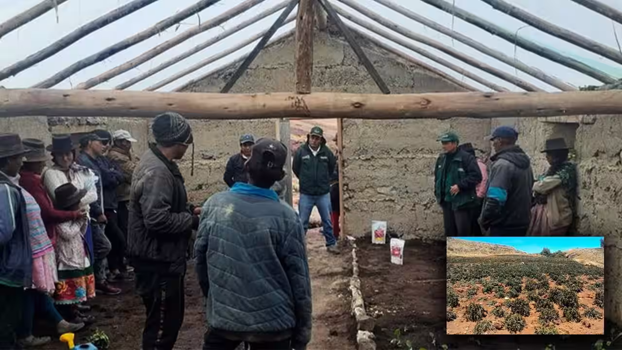 Elecciones 2026: Mesa Agraria alerta ausencia de criterio técnico en propuestas de candidatos de Ayacucho para el sector agrario