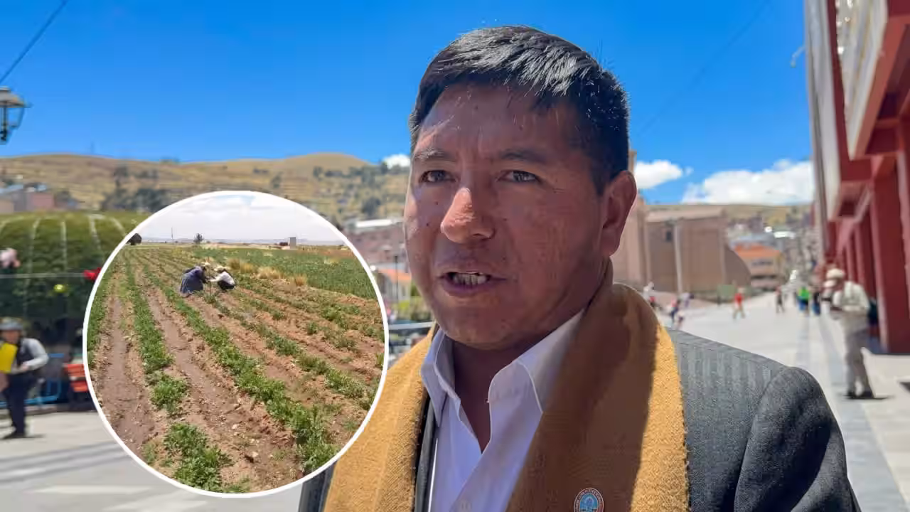 Proyectos de riego en Puno corren riesgo de convertirse en elefantes blancos