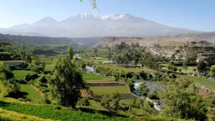 Arequipa: Impla se defiende y niega que busquen depredar áreas verdes
