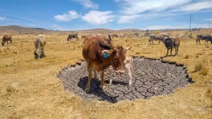 Piden priorizar seguridad hídrica ante déficit de agua en Puno