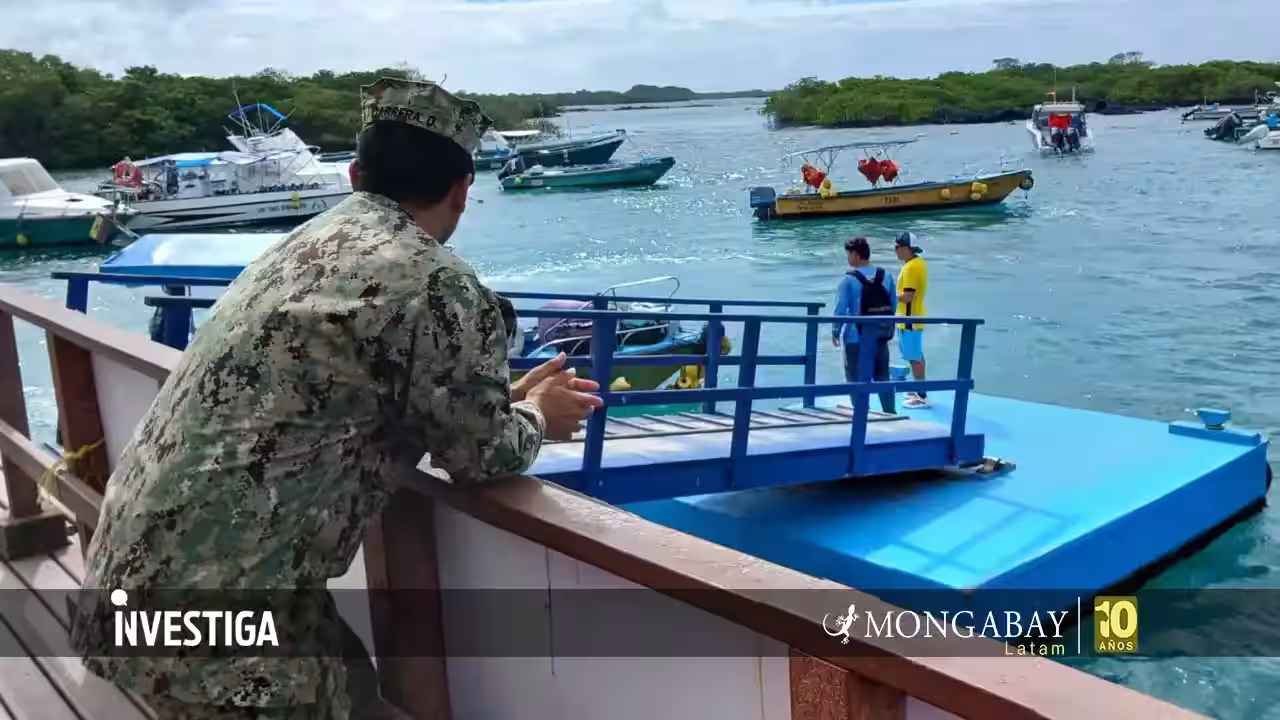 Ecuador: Ineficiencia institucional convierte a Galápagos en nodo logístico del tráfico ilegal de especies y del crimen organizado