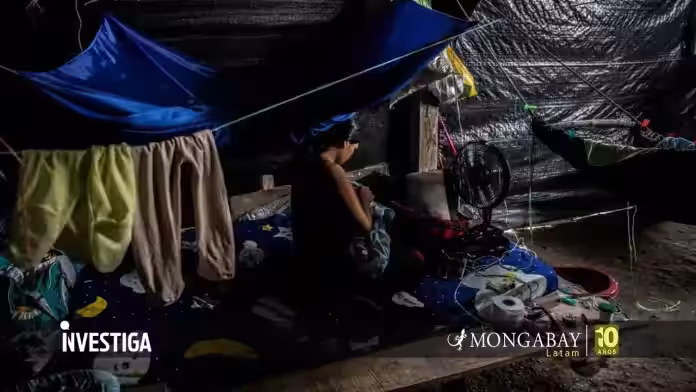 Mercurio en la sangre: la huella tóxica en niños y gestantes de Madre de Dios