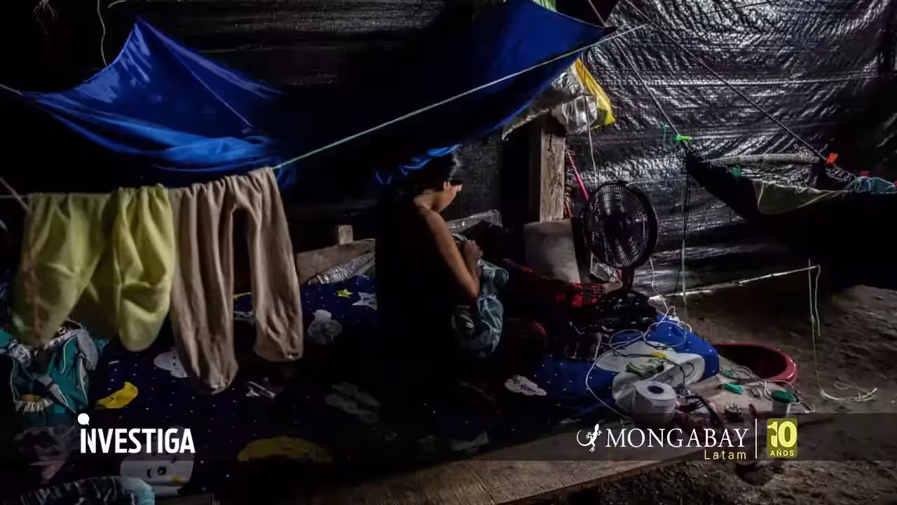 Mercurio en la sangre: la huella tóxica en niños y gestantes de Madre de Dios