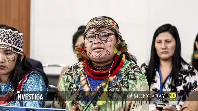Caso Olivia Bisa: nuevo ataque vuelve a exponer debilidades en la protección a líderes indígenas