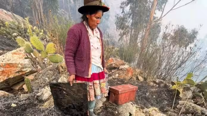 Incendio forestal incontrolable arrasa con cultivos y flora en el distrito de Carapo, en Ayacucho