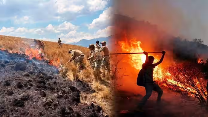 Varios distritos de Huanta arden en llamas: Incendios forestales destruyen todo a su paso