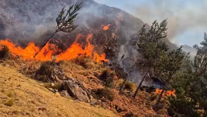 Ayacucho registra 120 incendios forestales y cerca de 3.000 hectáreas de cobertura natural afectadas
